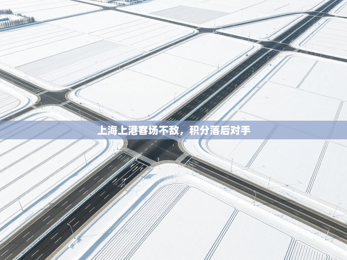 上海上港客场不敌，积分落后对手  第1张