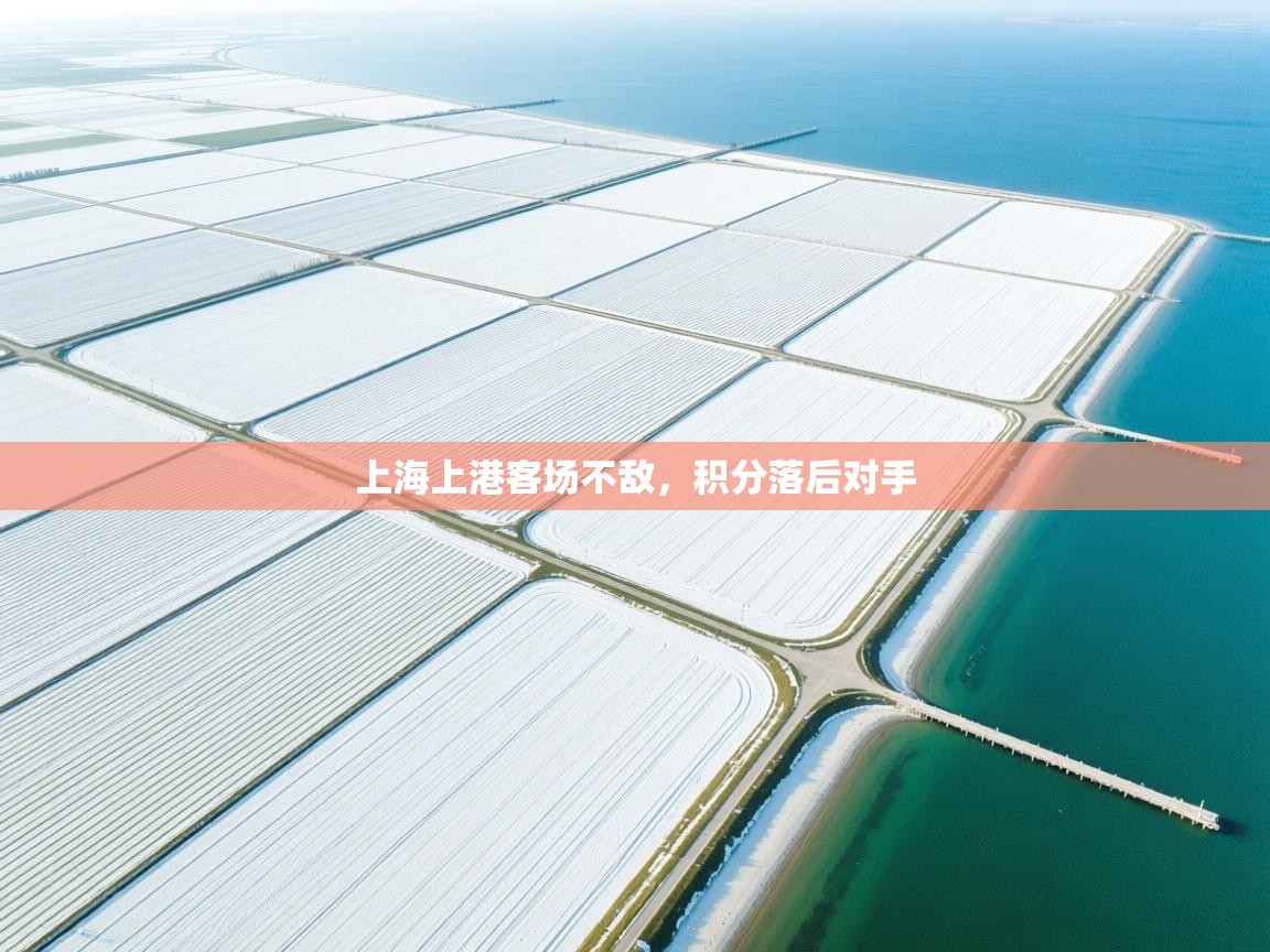 上海上港客场不敌，积分落后对手  第2张