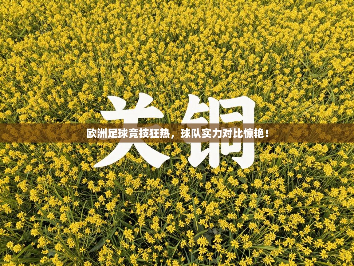 欧洲足球竞技狂热，球队实力对比惊艳！  第2张